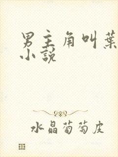 男主角叫叶旭的小说