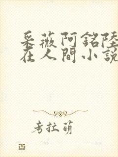 采薇阿铭陆三平在人间小说