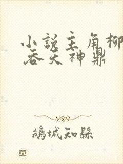 小说主角柳无邪 吞天神鼎