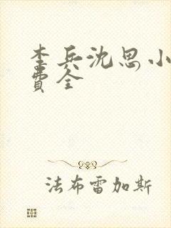 李兵沈思小说免费全