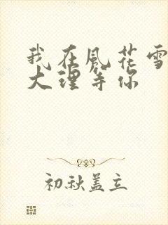 我在风花雪月的大理等你