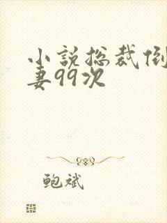 小说总裁倒追前妻99次