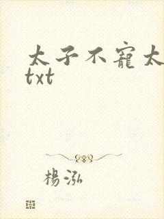 太子不宠太子妃txt