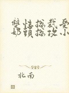 双性总裁受被捏奶头总攻小说封面