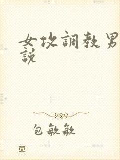 女攻调教男受小说