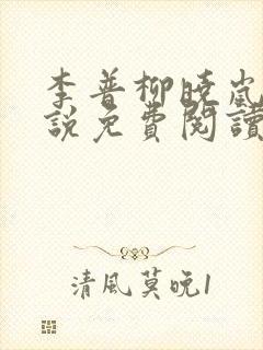 李普柳晓岚的小说免费阅读全文无弹窗封面