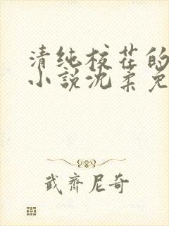 清纯校花的日常小说沈柔免费阅读