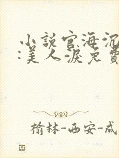 小说官海沉浮之:美人泪免费阅读全文