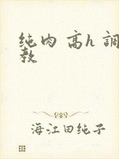 纯肉 高h 调教