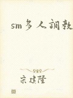 sm多人调教文