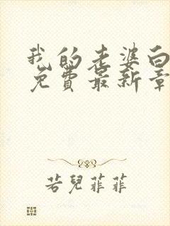 我的老婆白富美免费最新章节