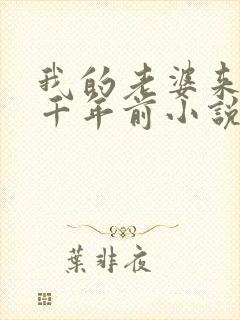 我的老婆来自一千年前小说txt