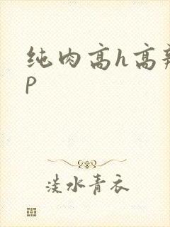 纯肉高h高辣np封面