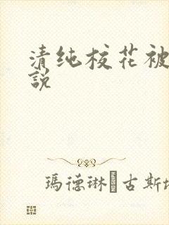 清纯校花被艹小说