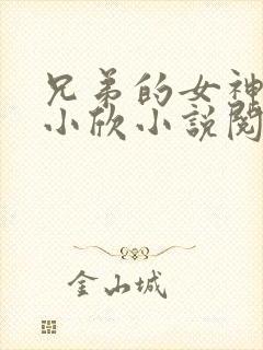 兄弟的女神女友小欣小说阅读