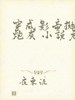 穿成影帝抛弃的炮灰 小说免费阅读封面