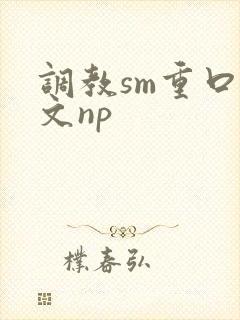 调教sm重口h文np封面
