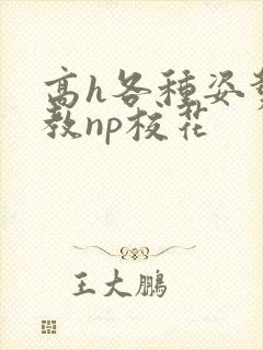 高h各种姿势调教np校花封面