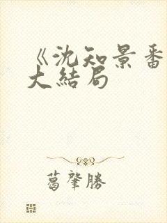 《沈知景番外》大结局