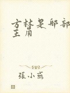 方林是哪部小说主角