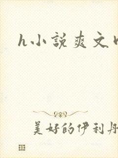 h小说爽文肉封面