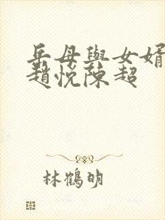 岳母与女婿小说赵悦陈超