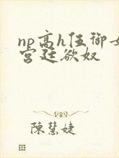 np高h伍御女宫廷欲奴