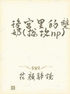 后宫里的双性大奶(总攻np)