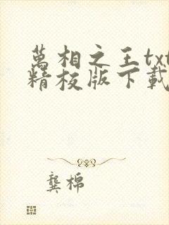 万相之王txt精校版下载