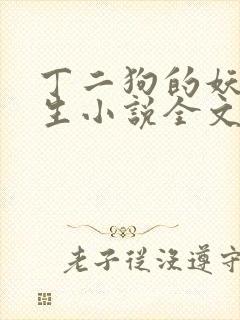 丁二狗的妖孽人生小说全文无删减封面