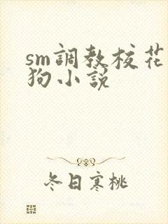 sm调教校花母狗小说
