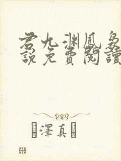 君九渊凤袅袅小说免费阅读