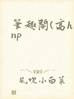 笔趣阁(高h)np