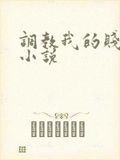 调教我的贱奴h小说封面