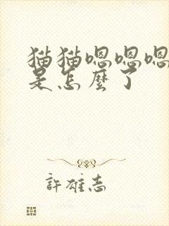 猫猫嗯嗯嗯的叫是怎么了封面