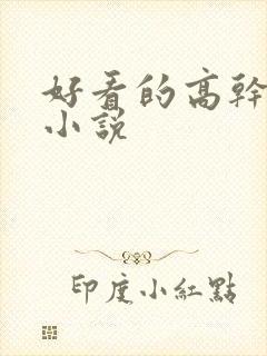 好看的高干宠文小说