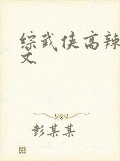 综武侠高辣肉h文