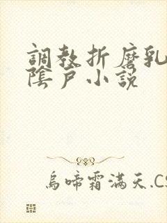 调教折磨乳头和阴户小说