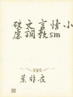 破文言情小说性虐调教sm