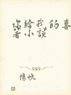 你给我的喜欢原著小说