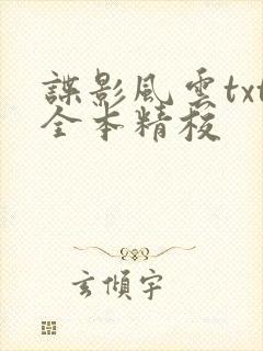谍影风云txt全本精校