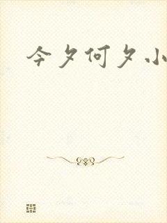 今夕何夕小说