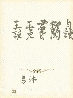 王正君柳月瑶小说免费阅读最新章节