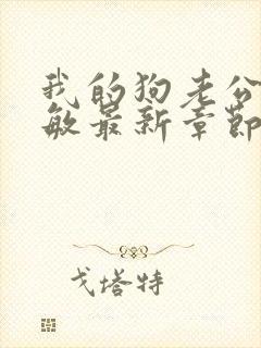 我的狗老公张淑敏最新章节免费阅读