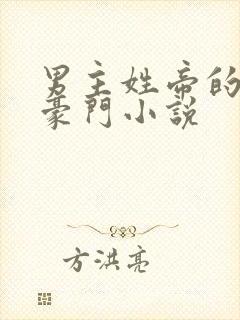 男主姓帝的现代豪门小说