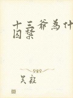 十三爷为什么被囚禁