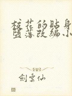 校花的贴身高手堕落改编小说