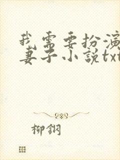 我需要扮演他的妻子小说txt