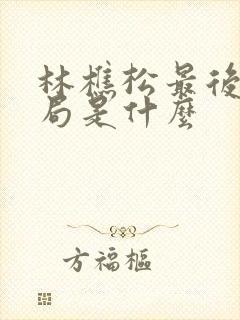 林樵松最后的结局是什么封面