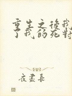 重生之后我嫁给了我的死对头